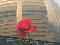 -杭州国际会议中心洲际酒店-原素全日餐厅(解放东路店)