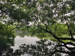 -西湖游船