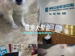 -美联众合动物医院·24h转诊中心