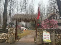 -林间山庄