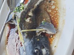 -蓝湾碧波·老字号·疍家非遗海上餐厅