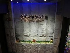 -糖朝(尖沙咀店)