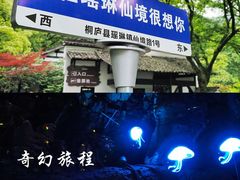 -瑶琳仙境
