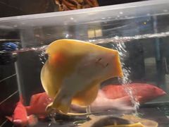 -荣小馆(杭州大厦店)