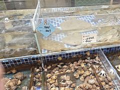 -天盛海鲜烧烤大排档·本地小海鲜·牟平腿穗子(幸福店)