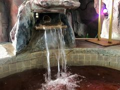 -中家鑫园温泉酒店鑫悦汤泉