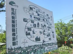 -盛世牡丹苑生态文化旅游区