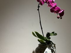 -菩提素素食餐厅(晶郦馆店)