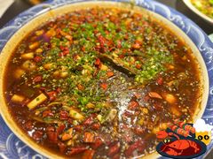 -新概念来凤鱼(璧山店)