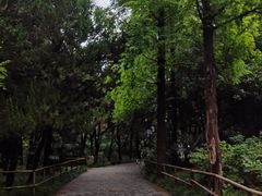 -西苑公园