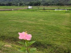-艾米稻香小镇