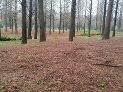 -贵阳市花溪国家城市湿地公园