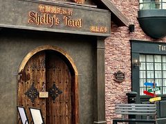 -雪灵魔法世界SHELLY’S TAROT(大良桂畔里店)