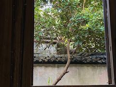 -乌镇东栅景区