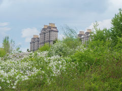 -群力丁香公园