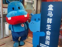 -盒马鲜生(大成店)