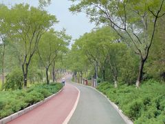 -滨河世纪广场公园