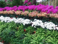 -兰陵国家农业公园