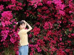 -厦门国家会计学院