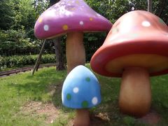 -美的鹭湖探索王国