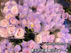 -循礼门鲜花花市(武汉循礼门店)