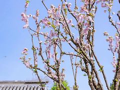 -北京颐和宾馆