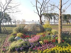 -中加枫华国际学校