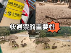 -广州长隆野生动物世界