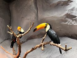 -Zoolung Zoolung动物主题公园(海信广场店)