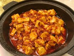 麻婆豆腐-鑫巴蜀小镇 · 水煮鱼专研店(玉桥店)