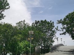 -金银湖国家城市湿地公园