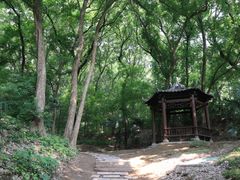 -古隆中景区