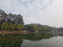 -三水森林公园
