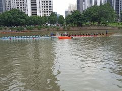 -光明港公园