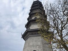 -冶父山国家森林公园