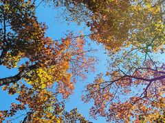 -丹东天桥沟景区