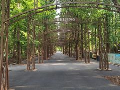 -东平国家森林公园