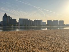 -金沙湖公园