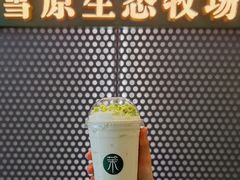 -茉酸奶(春熙路店)