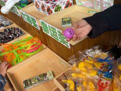 -芦仙山景区-飞越丛林探险乐园