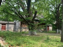 -阳台山自然风景区