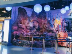 -沈阳海洋探索中心