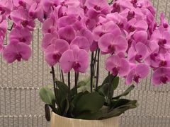 -一澜江宴·江景地标楚菜(江滩公园店)