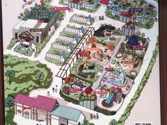 -南宫五洲植物乐园