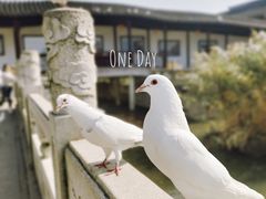 -重元寺
