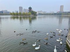 -迎泽公园