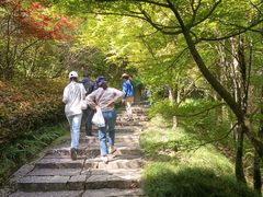 -遂昌金矿国家矿山公园