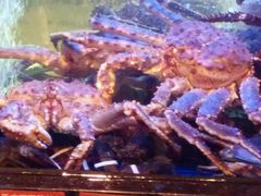 -陶陶居海鲜酒家(新马路店)