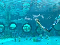 -芜湖方特东方神画