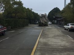 -安飞驰驾校·学车连锁(金高店)